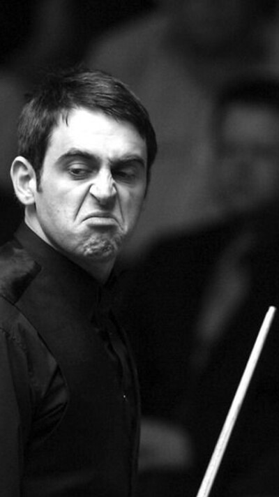 手的特点 手的特点